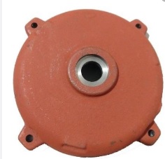 TAMPA TRASEIRA 132 W21 ROL.207 WEG C 10016858
