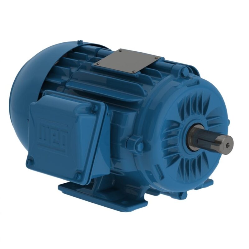 MOTOR  1CV 8P 220/380V 60HZ B3D IP55 W22 A.R PREMIUM C 12813759