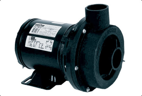 BOMBA CHS-17 50MM 2,0CV M 110/220V C 10411820