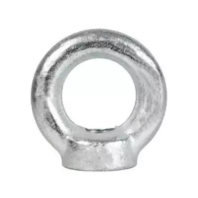 OLHAL PORCA (DIN582) M10 C/10282710