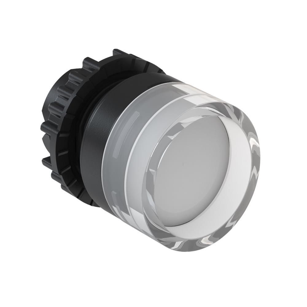 BOTAO CSW-BGAO GUARDA ALTA INC. BRANCO S/FLANGE C 12882154