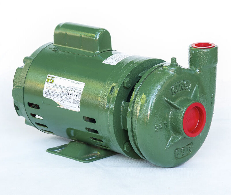 BOMBA MODELO C6R4 JJ 1CV MONOF 110/220V KING