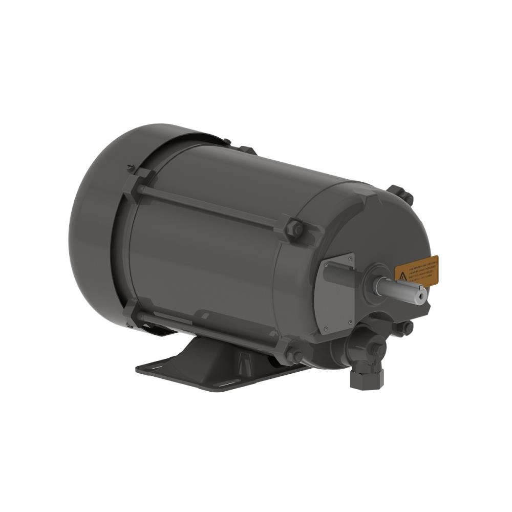 MOTOR 1CV 4P EX56 220/380V 60HZ B3D IP54 BOMBA COMBUST WBX2 C/15310798