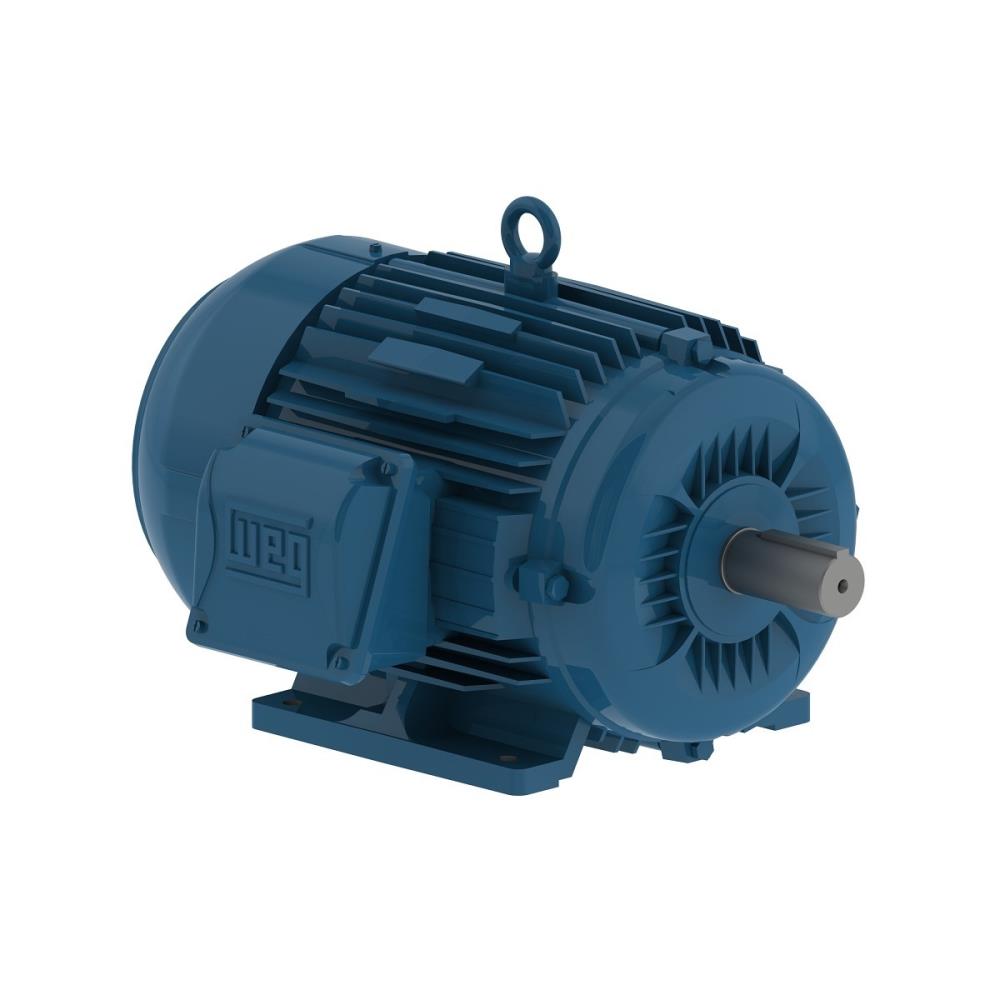 MOTOR 60CV 4P 220/380/440V 60HZ B3D IPW55 W22 A.R PREMIUM C/11277442